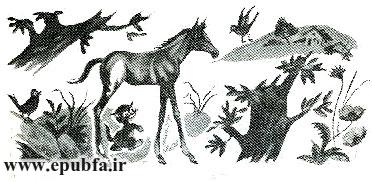 قصه کودکانه کرهاسب کوچولوی بامزه - محصول ایپابفا - ارشیو قصه و داستان کودکانه